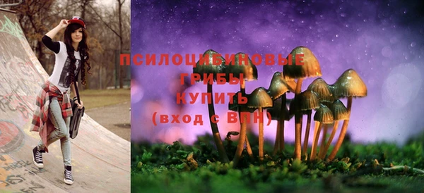хмурый Абдулино