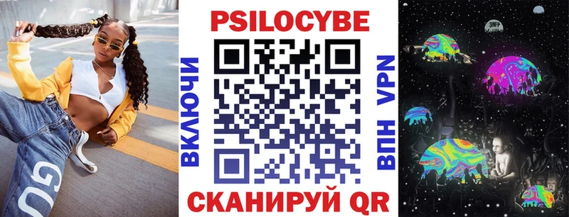 Псилоцибиновые грибы GOLDEN TEACHER  закладка  нарко площадка наркотические препараты  Куртамыш 